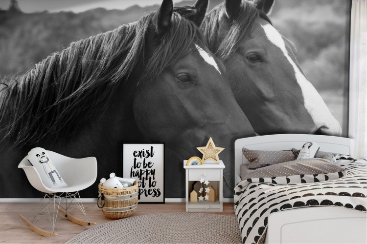 Wallpaper photography horses animals children's bedroom-12