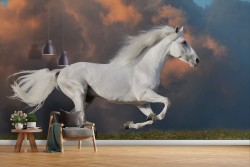 Carta da Parati cavallo bianco paesaggio natura animali-31