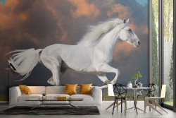 Carta da Parati cavallo bianco paesaggio natura animali-31