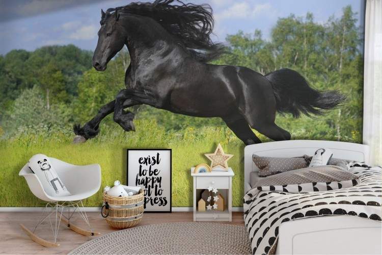 Black horse wallpaper landscape animals children-35