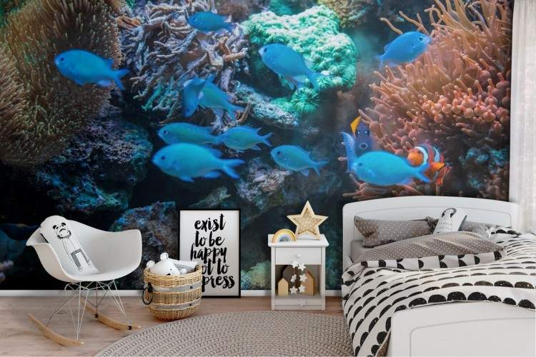 Tropical Fish and Natural Corals Children's Wallpaper Nemo-57