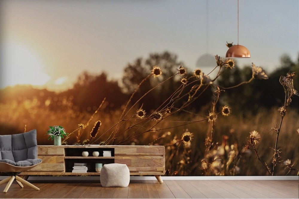 Wallpaper landscape meadow nature-0373
