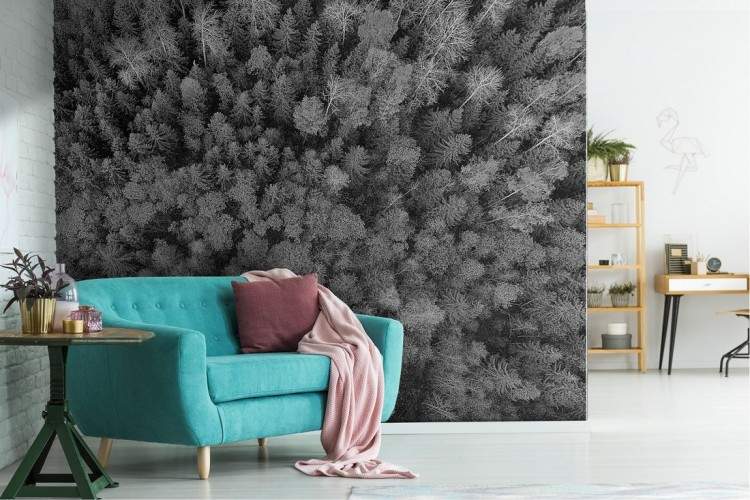 Wallpaper alberi foresta grigio fotografia